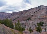 Explore Rock Canyon, Provo, Utah