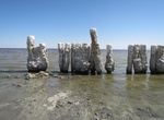 Explore Salton Sea, California