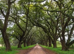 Tour Louisiana African American Heritage Trail, Louisiana
