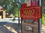 Wine Taste at Mayo Family Winery, Glen Ellen, California
