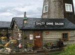 Visit Salty Dawg Saloon, Homer, Alaska