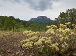 Explore Fishers Peak State Park, Las Animas County, Colorado