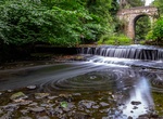 Explore Jesmond Dene Park, Newcastle upon Tyne, UK