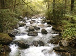 Explore Jones Gap State Park, Greenville County, South Carolina