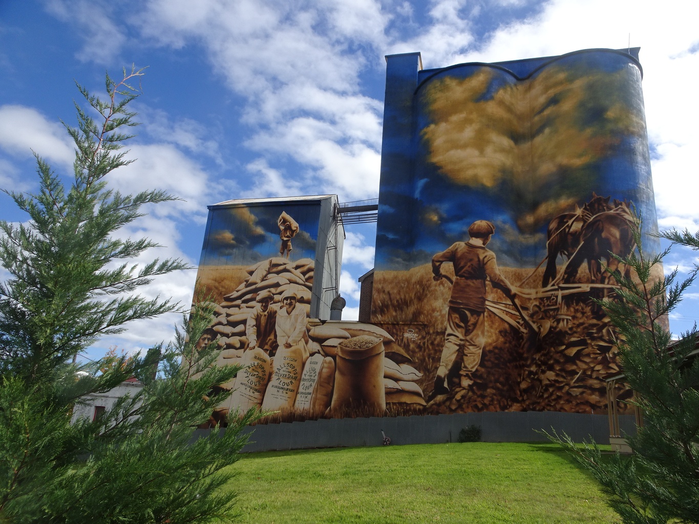 Harden Murrumburrah Silo Art