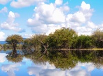 Explore Lake Sentarum National Park, Borneo, Indonesia