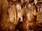 Explore Lehman Caves, Great Basin National Park, Nevada