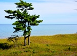Explore Kohler-Andrae State Park, Sheboygan, Wisconsin