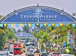 Shop and Stroll Cedros Avenue Design District