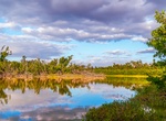 Birdwatch Eco Pond, Everglades National Park