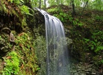 Explore Falling Waters State Park, Washington County, Florida