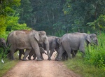 Explore Kui Buri National Park, Thailand