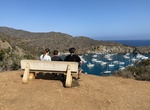 Hike or Bike to Cherry Cover Overlook, Santa Catalina Island, California