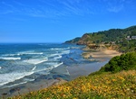 Visit Otter Crest Beach, Oregon