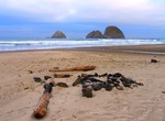 Visit Oceanside Beach State Recreation Site, Oregon