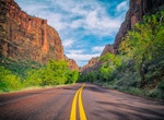 Drive Floor of the Valley Road (Zion Canyon Scenic Drive), Zion National Park, Utah
