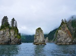 Explore Chiswell Islands, Alaska Maritime National Wildlife Refuge, Alaska