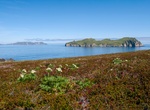 Explore Semidi Islands, Alaska Maritime National Wildlife Refuge, Alaska