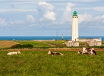 See Cap d'Antifer Lighthouse, Le Havre, France