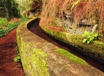 See the La Palma Minas Galerias (Water Tunnels), Canary Islands