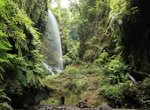 See Cascada De Los Tilos, La Palma Island, Canary Islands