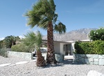 See Alexander Steel Mid-Century Modern Houses, Palm Springs, California