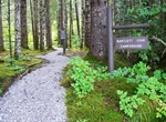 Camp Bartlett Cove Campground, Gustavus, Alaska