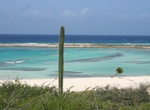 Visit Baby Beach, Aruba