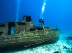 Wreck Dive Kappel Wreck, Mangel Halto, Aruba