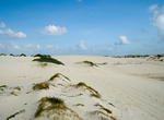 Explore California Sand Dunes, Aruba