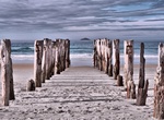 Visit Saint Clair Beach, Dunedin, New Zealand