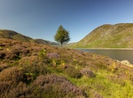 Explore Loch Turret, Perth and Kinross