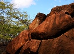 See Poaiwa Petroglyphs, Lanai, Hawaii