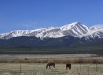 Summit Mount Elbert, Sawatch Range, Colorado