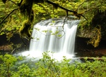 Hike to Butte Creek Falls, Oregon