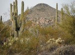 Hike or Ride Cone Mountain Loop Trail, McDowell Sonoran Preserve, Arizona