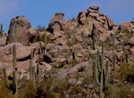 Hike or Ride Cholla Mountain Loop Trail, McDowell Sonoran Preserve, Arizona