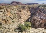 Canyoneer Lower Black Box, San Rafael Swell, Utah