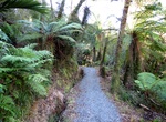 Hike Inland Pack Track, Paparoa National Park, New Zealand