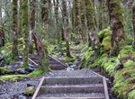 Hike Arthur's Pass Walking Track, New Zealand