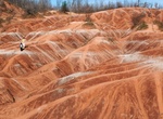Explore Cheltenham Badlands, Caledon, Ontario