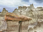 See Bisti Badlands Petrified Trees, Bisti Badlands, New Mexico