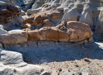 See The Drum Stick, Bisti Badlands, New Mexico