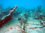 Wreck Dive SS Benwood, Key Largo, Florida