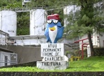 See Charlie the Tuna Statue, Atu'u, Tutuila Island, American Samoa