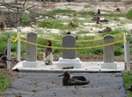 Visit Japanese Markers (Midway Atoll), Northwestern Hawaiian Islands