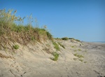 Visit Pea Island National Wildlife Refuge, North Carolina