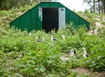 Visit Sand Island Ammo Hut, Midway Atoll, Northwestern Hawaiian Islands