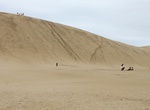 Sandboarding Giant Sand Dunes (Te Paki Sand Dunes), Cape Reinga, North Island, New Zealand
