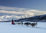 See Wonder Lake, Denali National Park, Alaska